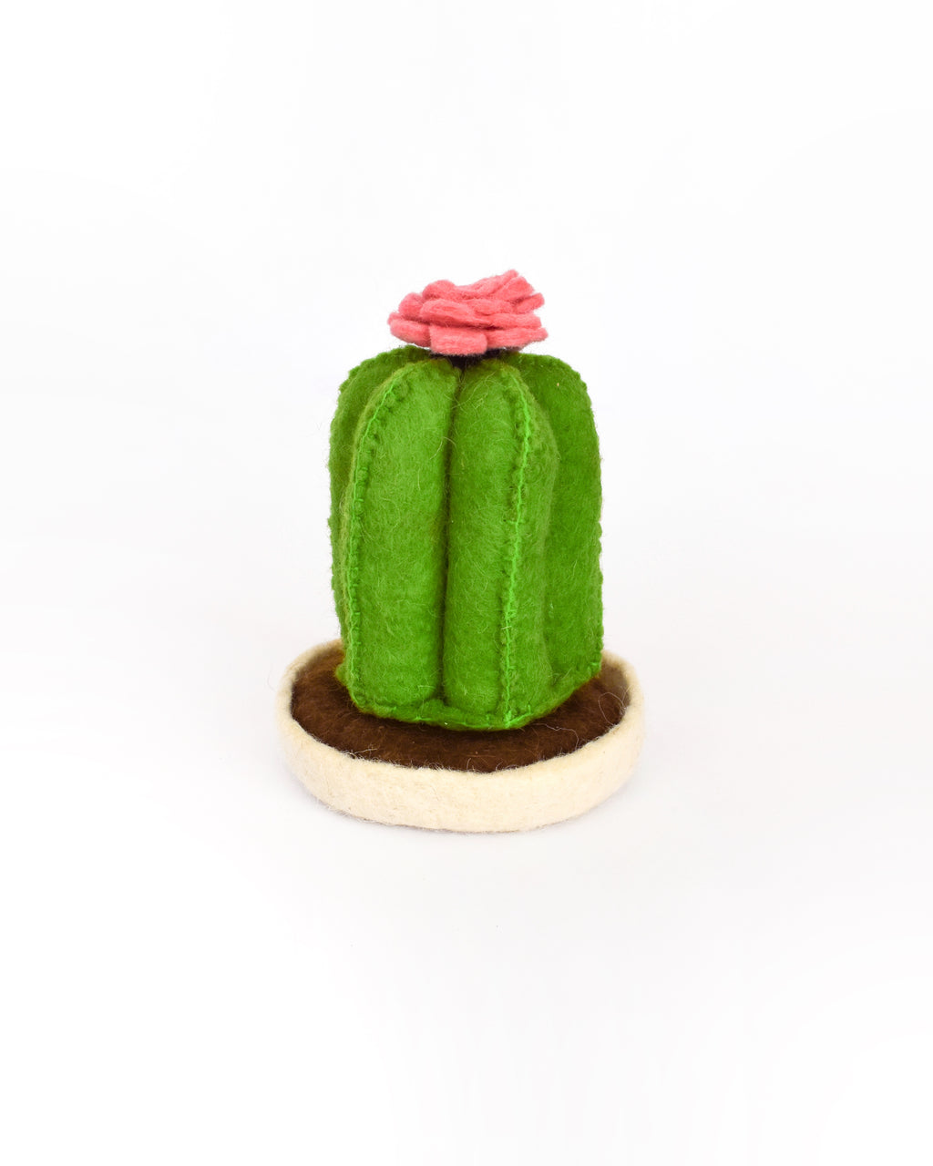 Set de Cactus Apilables