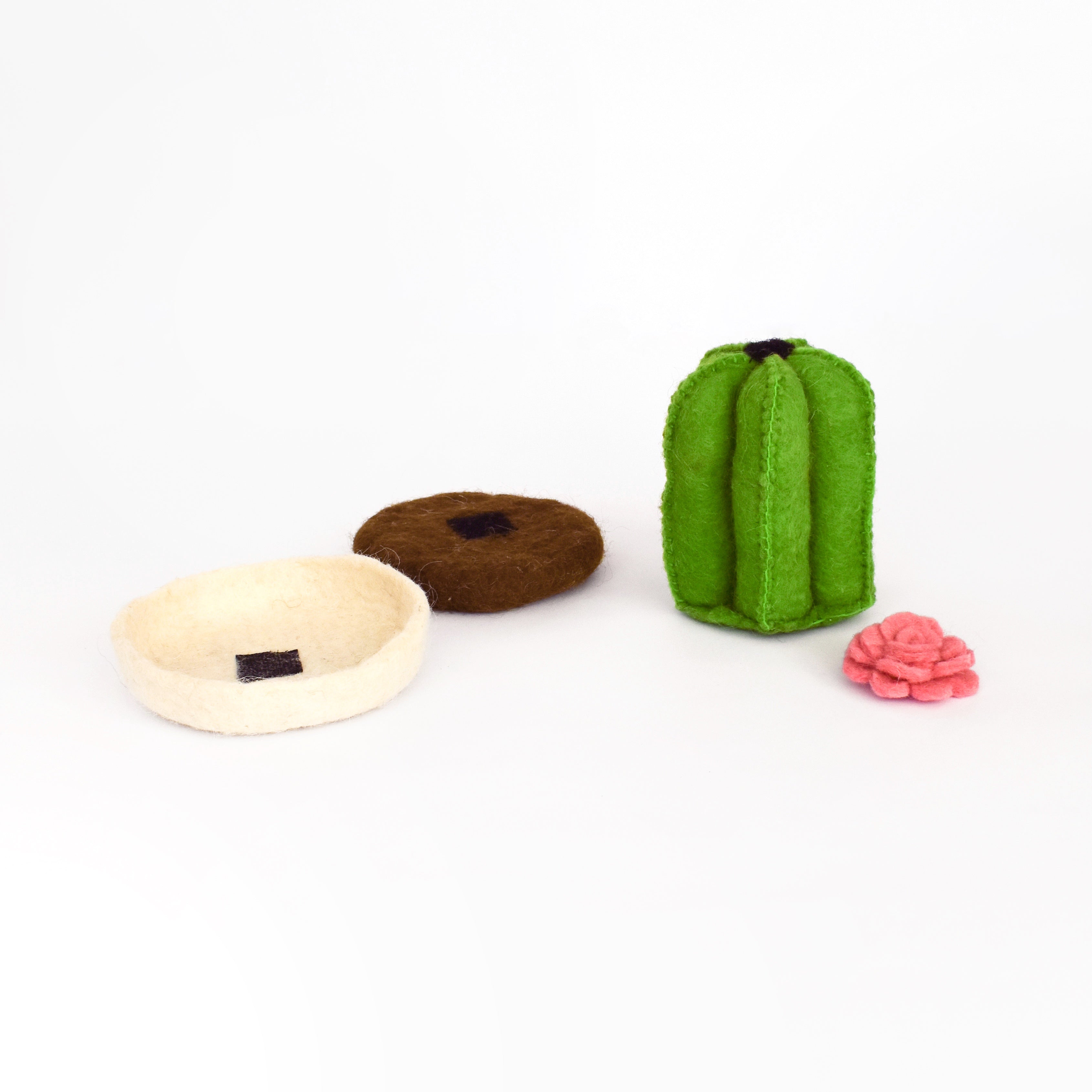 Set de Cactus Apilables