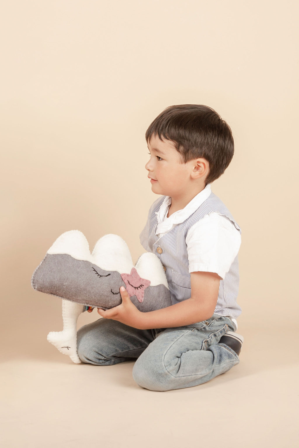Rock Star Mountain Pillow